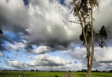 记者：尤文、利物浦等队有意卢克曼，球员转会费约万欧.