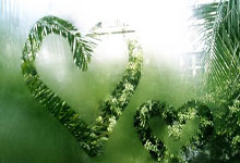 记者：尤文、利物浦等队有意卢克曼，球员转会费约万欧.