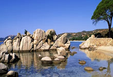 亚星官网：三巨头74分创赛季新高一顽疾不除纽约难成豪门.